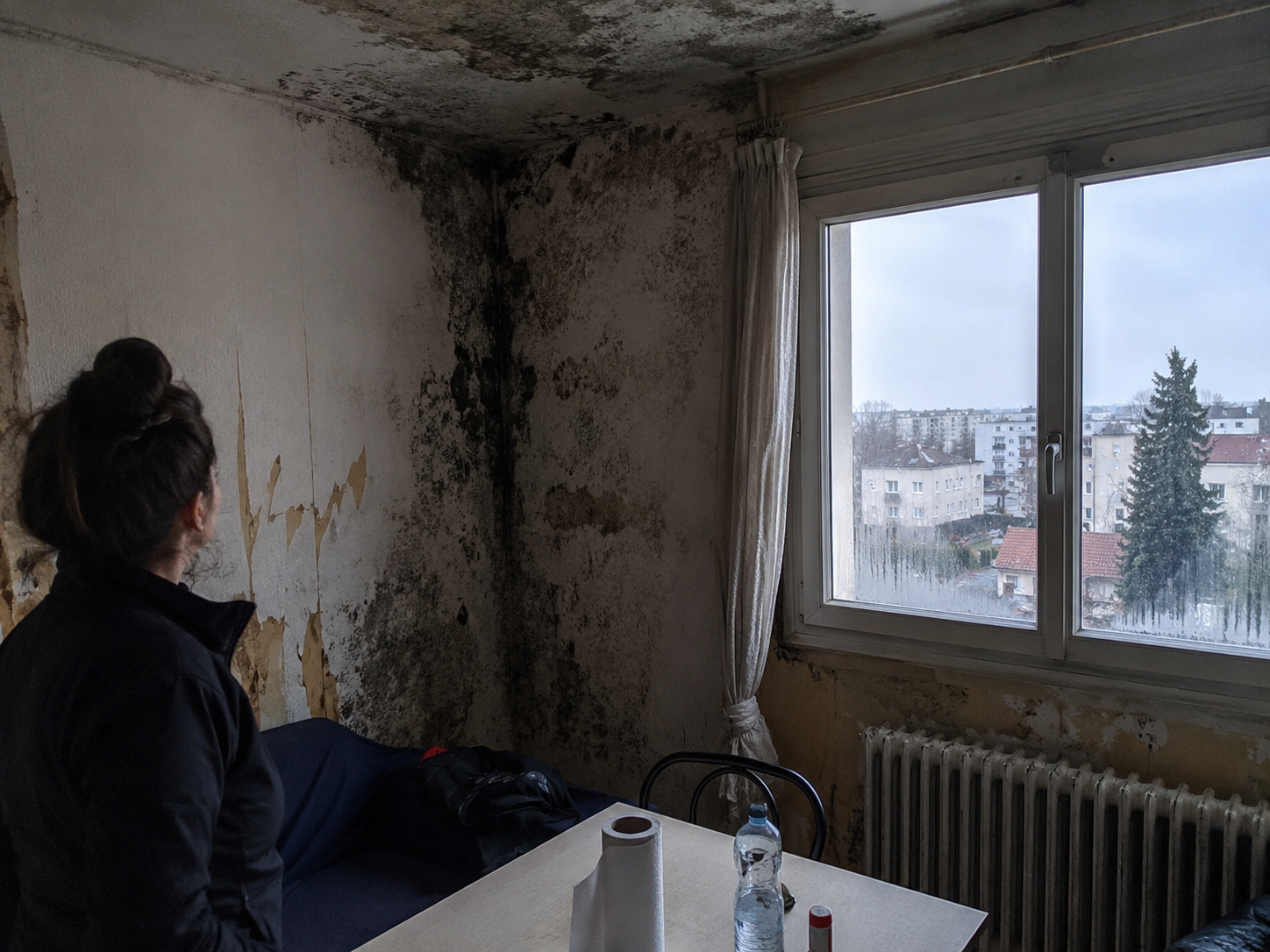 Logement insalubre en Essonne avec moisissures, humidité au plafond et murs dégradés